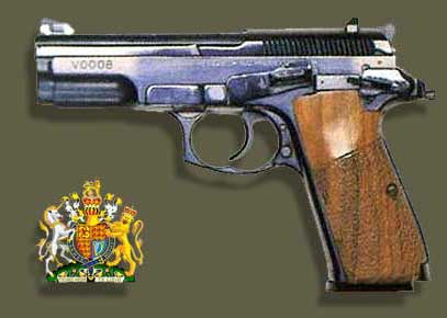 Пистолеты, Пистолет Victory Arms MK-5, оружие